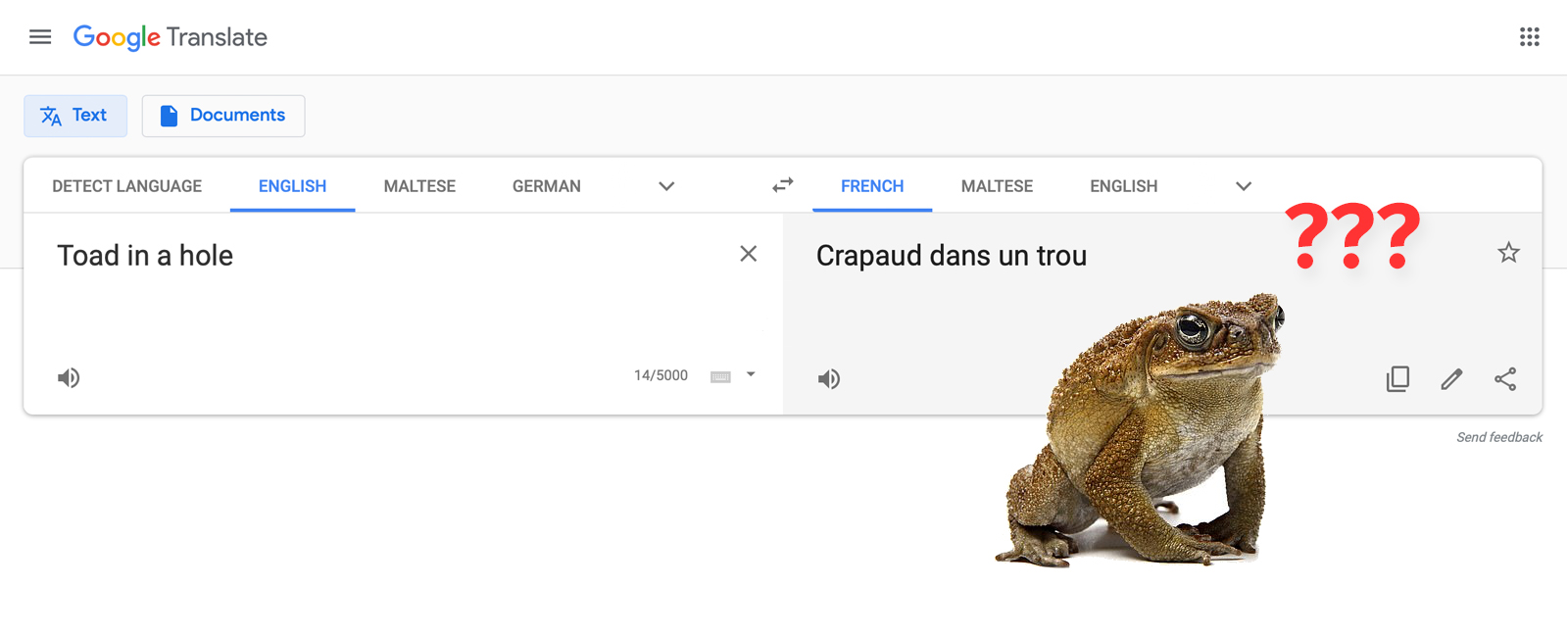 Toad in a hole translation fail